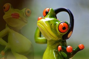 ZestyFrog